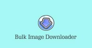 Bulk Image Downloader Cracked
