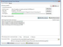 Bulk Image Downloader Serial key