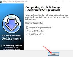Bulk Image Downloader patch Free Download